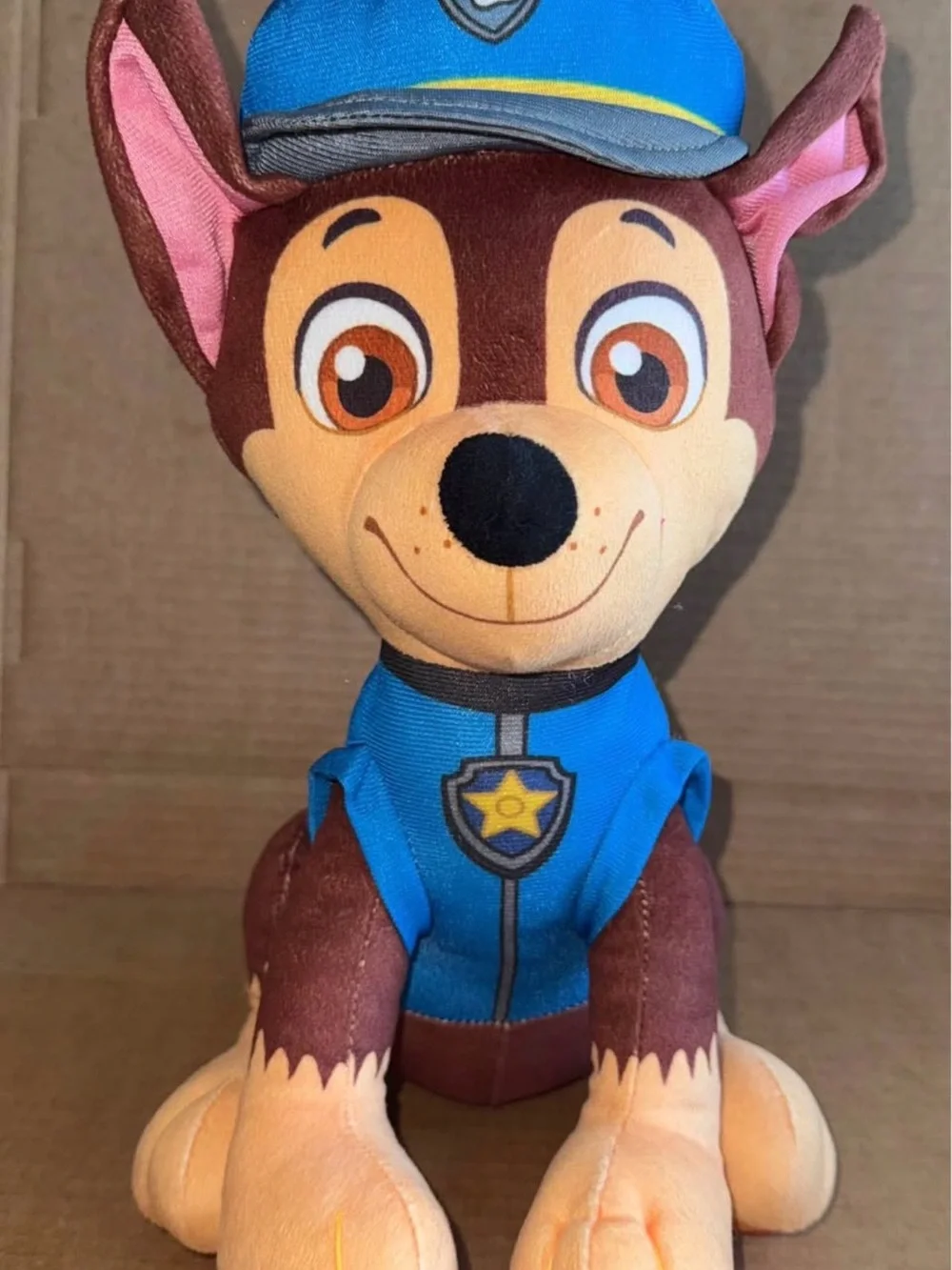 Nickelodeon Paw Patrol Chase 13